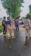 Tanggap Darurat, Polsek Ngronggot Gerak Cepat Atasi Pohon Tumbang yang Tutup Akses Jalan