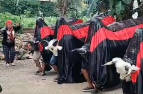 Maheso Aremania Budoyo Siap Mengguncang Panggung Hiburan Rakyat Sambut Tahun Baru 2026