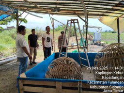 Respon Aduan Warga Adanya Sabung Ayam, Polsek Tulangan Turun Langsung ke Lokasi