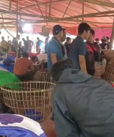 Aktivitas Sabung Ayam di Sumenep Kebal Hukum, Diduga Ada Backing APH