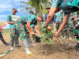 YONIF TP 836/BY Laksanakan Penanaman Pohon Bersama Kodim, Polres dan Pemkab Pidie Jaya untuk Menghijaukan Wilayah
