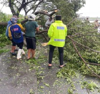 Polres Lamongan Hadir untuk Masyarakat, Respon Cepat 110 Pohon Tumbang hingga Evakuasi Dampak Puting Beliung