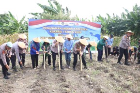 Perkuat Ketahanan Pangan 2026, Polres Pelabuhan Tanjung Perak Gelar Tanam Jagung Serentak Gandeng Poktan dan Bulog