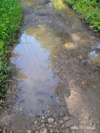 Rusak Parah, Jalan Penghubung Cikaung Sabrang ke Kampung Tanjung Lame, Belum Pernah Tersentuh Anggaran Pemerintah