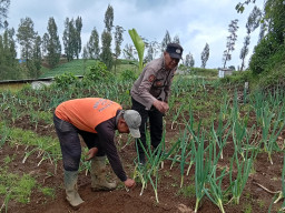 Polisi Turun ke Kebun Bawang Prei, Dorong Warga Aktif Bertanam untuk Ketahanan Pangan