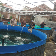 Babinkamtibmas Polsek Bangil Dampingi Warga Tambakan Kembangkan Budidaya Lele di Pekarangan