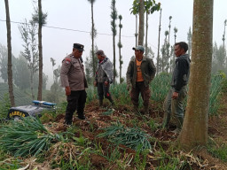 Bhabinkamtibmas Polsek Tosari Pantau Lahan Bawang Prei, Dukung Program Ketahanan Pangan Nasional