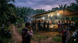 Dugaan Arena Sabung Ayam Masih Beroperasi di Ambulu Jember, Isu Perlindungan Oknum Muncul ke Publik