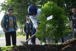 Wabup Mimik Idayana Tanam Pohon Pucuk Merah bersama ASN Sidoarjo 
