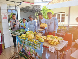Polres Pelabuhan Tanjung Perak Gelar Gerakan Pangan Murah, Hasil Panen dari Lahan Ketahanan Pangan Tambak Wedi