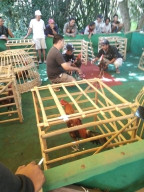 Warga dan Tokoh Agama Minta Dugaan Sabung Ayam di Pondok Dalem Diusut