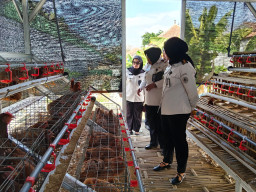 Sinergi Antar Satuan Kerja Pemasyarakatan, Bapas Madiun Tinjau Program Pembinaan Unggulan Lapas Kelas I Madiun