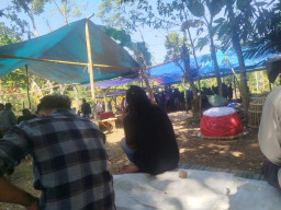 Diduga Arena Sabung Ayam di Jelbuk Jember Ramai Dikunjungi Warga, Aktivitas Jadi Sorotan