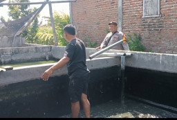 Pantau Budidaya Lele di Genengwaru, Bhabinkamtibmas Pastikan Pertumbuhan Ikan Berjalan Baik