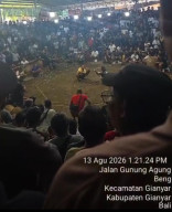 Arena Tajen Diduga Marak di Gianyar, Jarak Hanya 1,2 Km dari Polsek dan 1,5 Km dari Polres, Polda Bali Didesak Bertindak