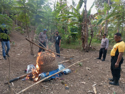 Diduga Arena Sabung Ayam, Sejumlah Sarana di Desa Wadung Pakisaji Dimusnahkan Polisi