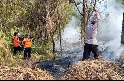 Polisi dan Petugas Gabungan Berhasil Padamkan Karthula di Kawasan TNBTS Ranupani Lumajang