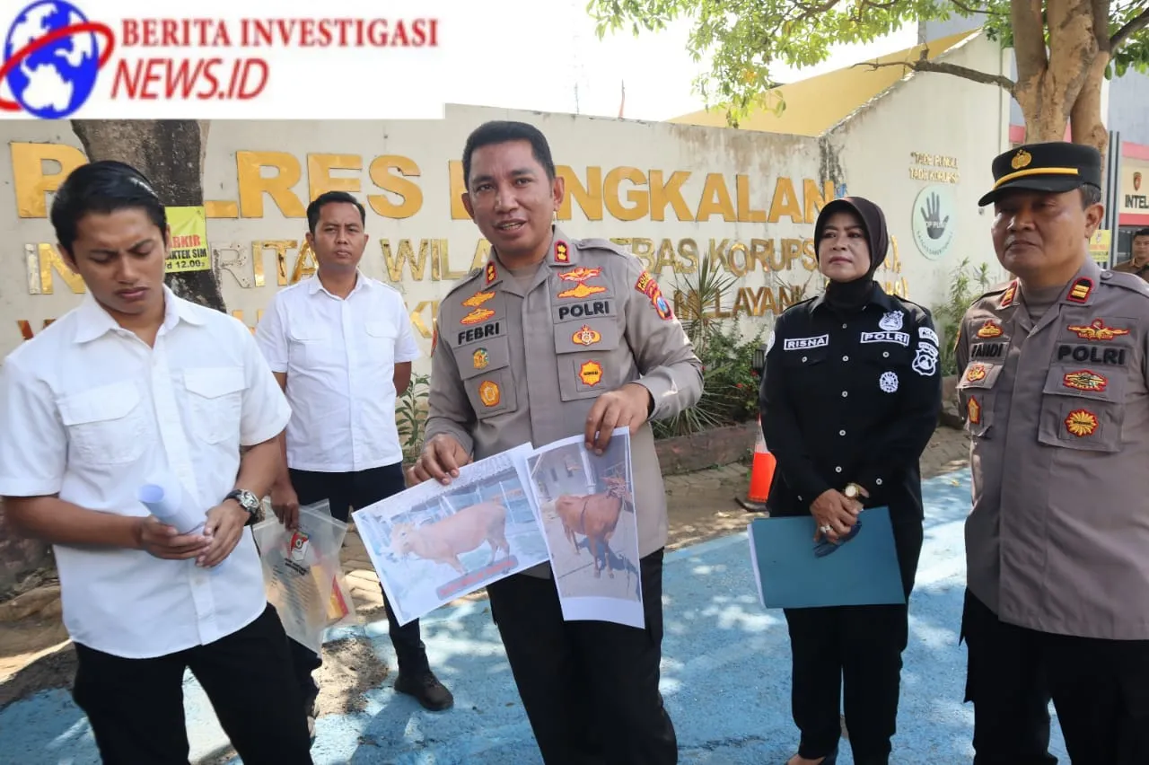 Polres Bangkalan Kejar Maling Sapi Milik Petani Kecil Hingga ke NTB, Tersangka Berhasil Diamankan