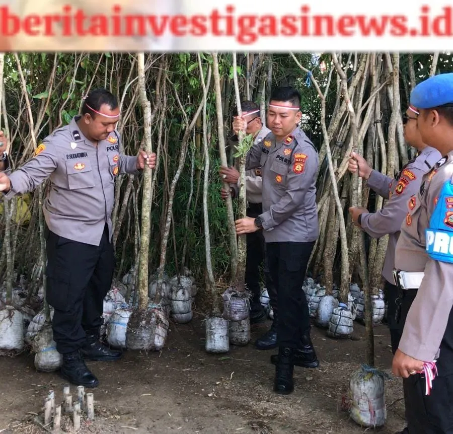 Atasi Perubahan Iklim Polri Tanam Pohon Untuk Penghijauan
