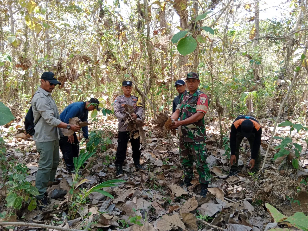 Laksanakan Patroli, Sinergitas Polresta Banyuwangi Bersama TNI dan Perhutani Cegah Karhutla