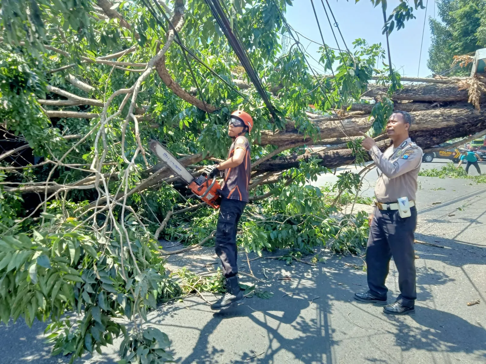 Gotong Royong Evakuasi Pohon Tumbang Menghambat Arus Lalin Raya Kebonagung Sukodono