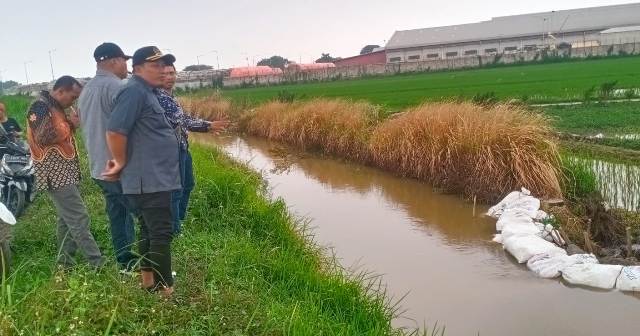 Akibat Tanggul Jebol, Ratusan Petani Balongbendo Sidoarjo Tak Bisa Bercocok Tanam