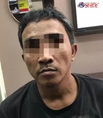 Polres Gresik Amankan Empat Pot Pohon Ganja di Rumah Terduga Pengedar Narkoba
