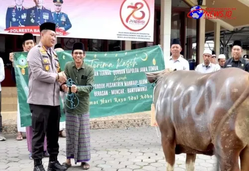 Kapolda Jatim Berkurban 10 Sapi dan 17 Kambing Untuk Ponpes, Ormas dan Organisasi Kemahasiswaan di Banyuwangi