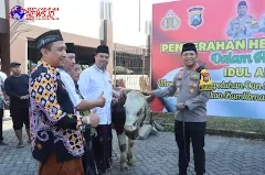 Polresta Sidoarjo Salurkan Hewan Qurban Sebanyak 21 Ekor Sapi dan 55 Ekor Kambing ke Masyarakat
