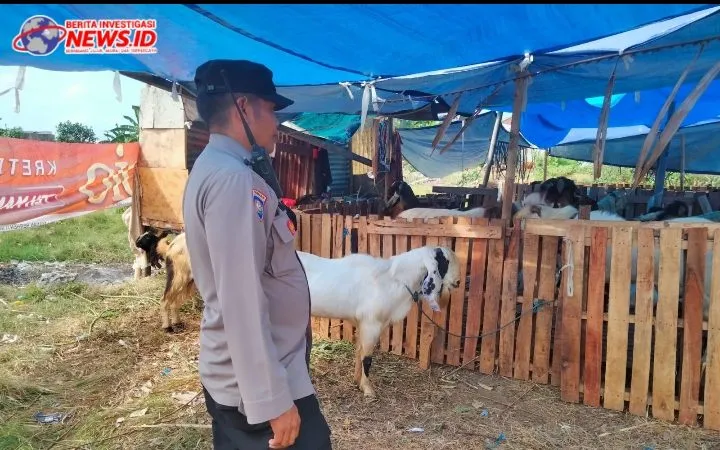 Bhabinkamtibmas Polsek Denbar Pantau Aktifitas Penjualan Hewan Kurban