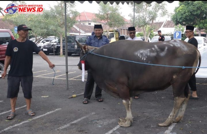 Penyerahan dan Penyembelihan Hewan Qurban di Hari Raya Idul Adha