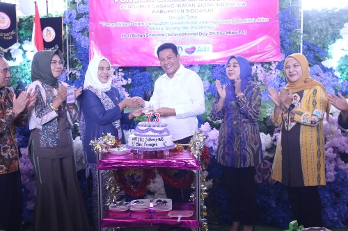 Apresiasi Dedikasi IBI, H Subandi Harapkan Kontribusi Untuk Wujudkan Kesehatan Ibu-Anak