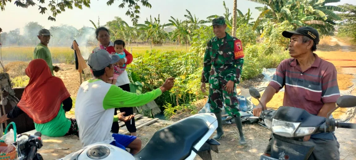 Dukung Ketahanan Pangan, Babinsa Koramil 0817/06 Manyar Laksanakan Komsos dan Pompanisasi Bersama Petani di Desa Pongangan