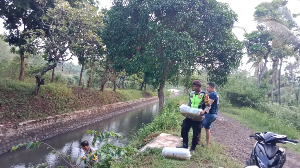 Wujudkan Ketahanan Pangan, Polisi Bersama Perangkat Desa Tebar 10.000 Bibit Ikan di Bondowoso