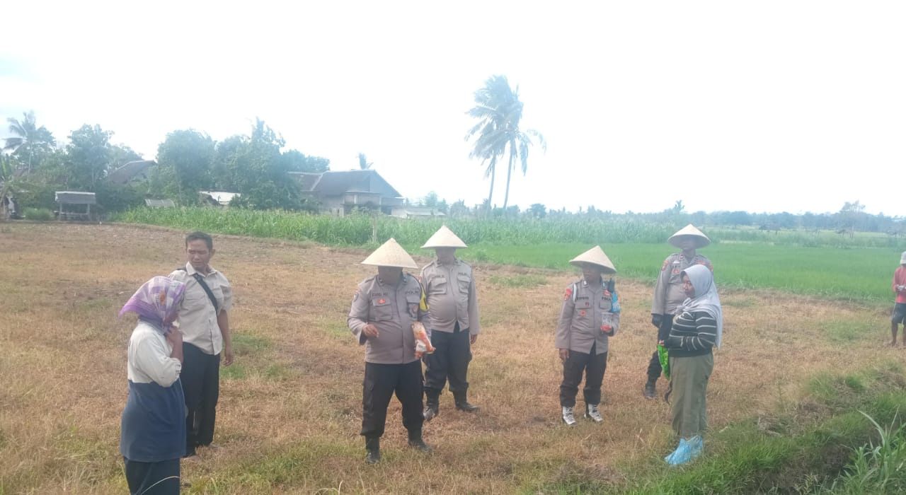 Dalam Rangka Mendukung Ketahanan Pangan, Polsek Cermee Laksanakan Penanaman Jagung