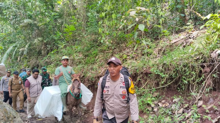 Penuh Perjuangan, Petugas Gunakan Kuda ke TPS Terpencil di Jember Untuk Distribusikan Logistik Pilkada