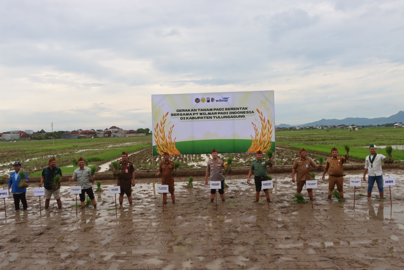 Polres Tulungagung Kerjasama Dengan PT. Wilmar Padi Indonesia dan Pemerintah Desa Lakukan Tanam Padi