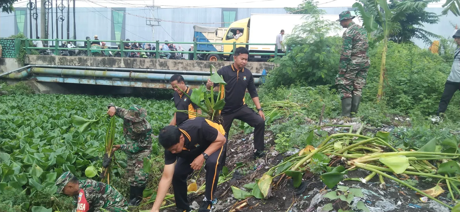 Cegah Banjir, Polisi Bersama TNI Bersihkan Sampah dan Enceng Gondok di Sungai Gebang Sidoarjo