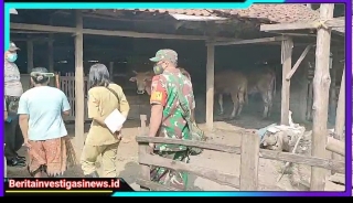 Polres Nganjuk Apresiasi Sinergi Dalam Penanganan PMK di Desa Senggowar