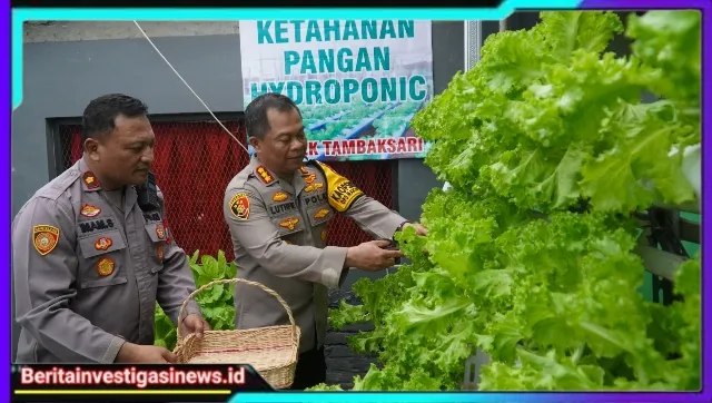 Surprise..!! Bisa Panen Sayur Hidroponik di Polsek Tambaksari, Begini Reaksi Kapolrestabes Surabaya