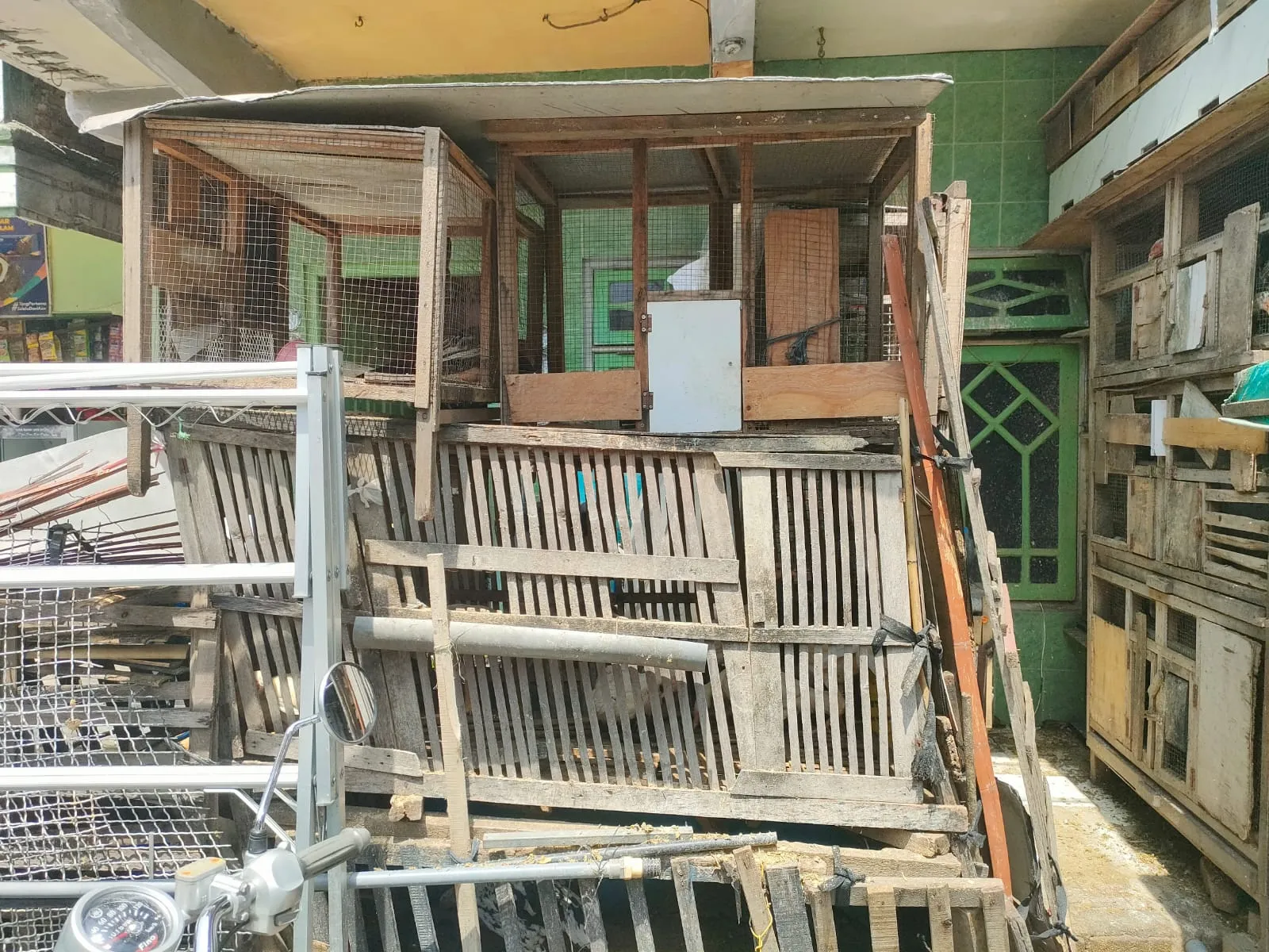 Bau Kotoran Hewan Ternak Milik Suud di Keluhkan Warga Gundih Lapangan, Pemkot Segera Bertindak
