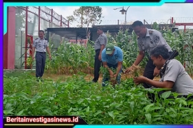 Bukan Sekadar Pembinaan, Lapas Narkotika Kelas IIA Pamekasan Jadi Pusat Produktivitas Dengan Panen Kangkung