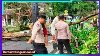 Polsek Loceret Evakuasi Pohon Tumbang di Candirejo, Kapolres Nganjuk Apresiasi Sinergi Warga dan Petugas