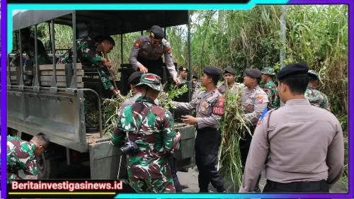 Perkuat Sinergitas dan Soliditas TNI-Polri di Malang Kompak Laksanakan Karya Bakti Pada HUT ke - 64 Kostrad