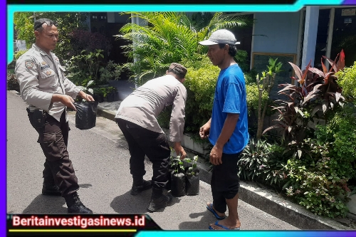 Polsek Pace Dukung Ketahanan Pangan, Manfaatkan Lahan Sela Untuk Tanaman Bergizi