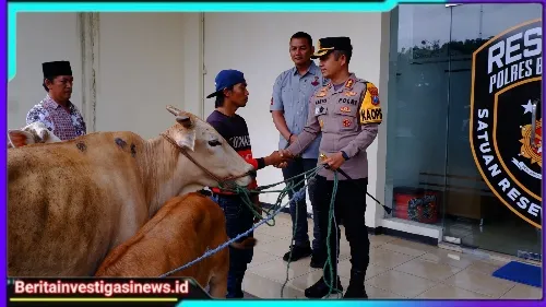 Polres Bondowoso Berhasil Temukan dan Kembalikan 3 ekor Sapi Yang Hilang, Pemilik Tersenyum Riang