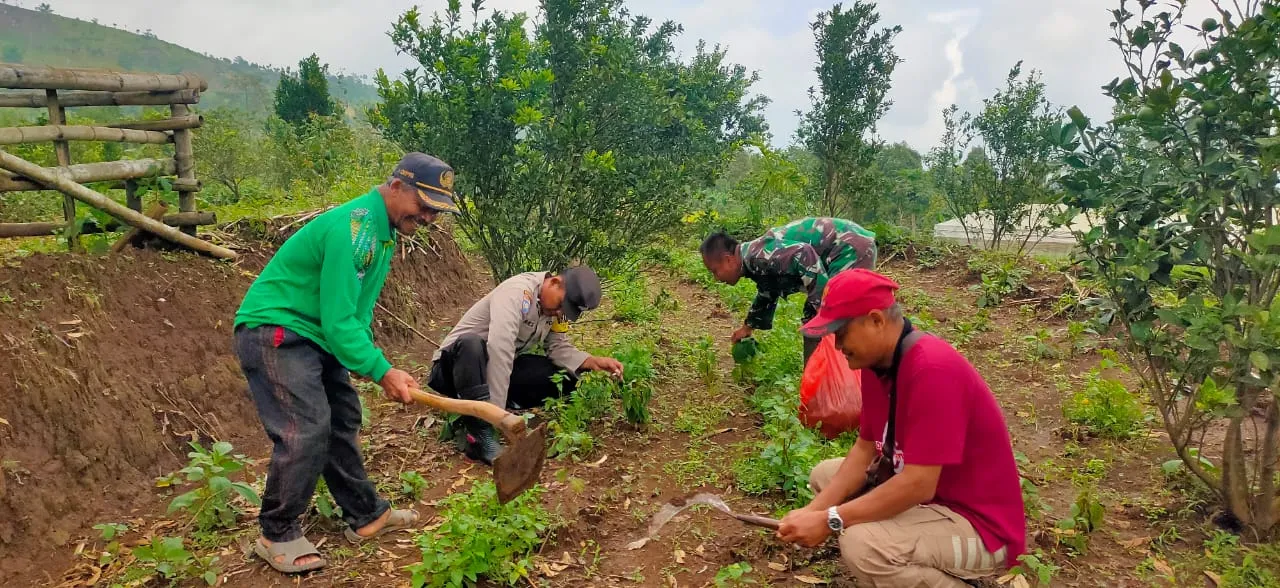 Polsek Ngetos Dukung Ketahanan Pangan dengan Pemanfaatan Lahan Perkarangan