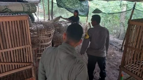 Polres Nganjuk Tindak Lanjut Dugaan Sabung Ayam di Bagor