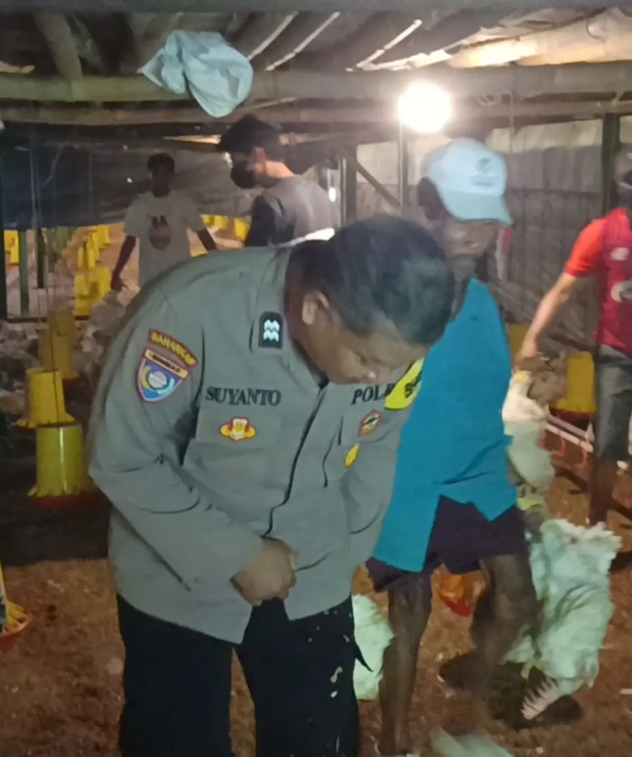 Bhabinkamtibmas Wates Pantau Hewan Ternak untuk Dukung Ketahanan Pangan