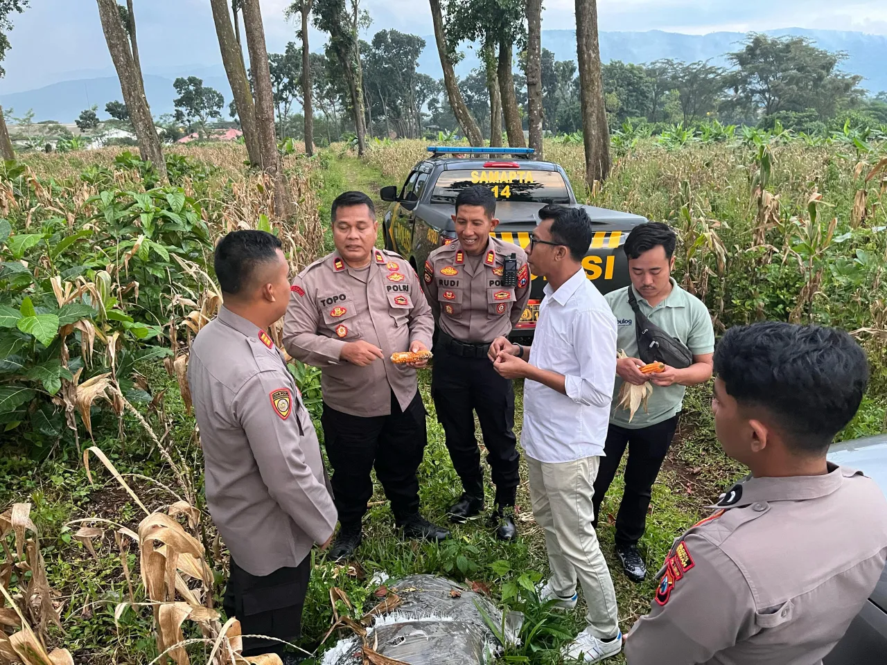 Dukung Ketahanan Pangan sejumlah pejabat Polres Pasuruan Cek Kualitas Jagung siap panen 